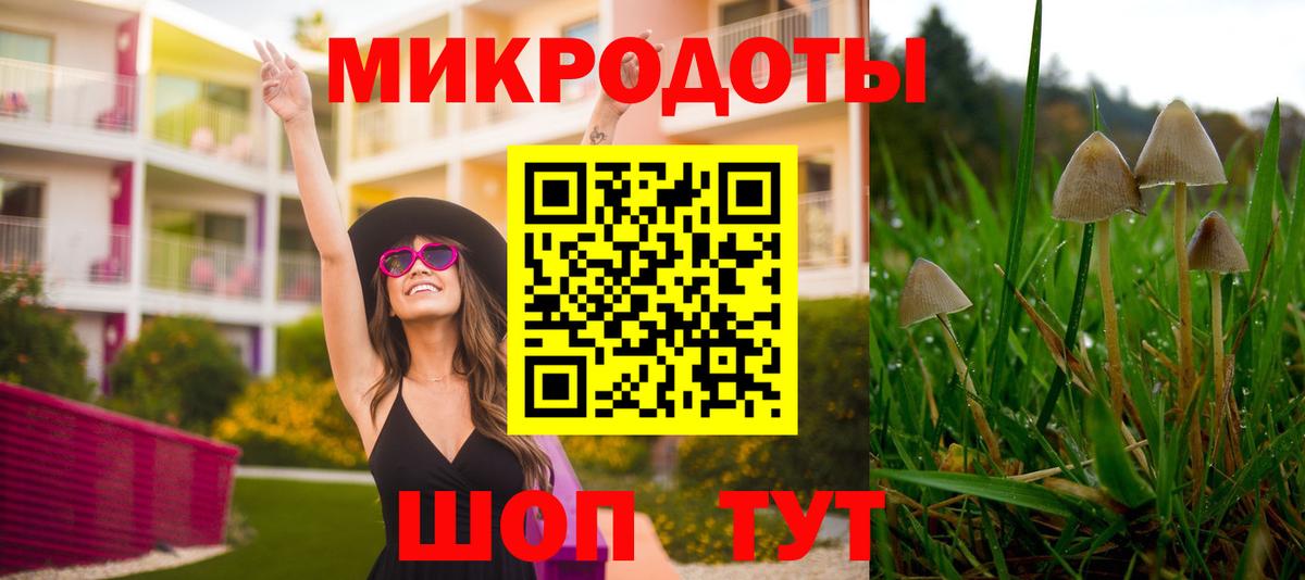 Галлюциногенные грибы Psilocybe  Вход с VPN  купить  цена  Чернушка 