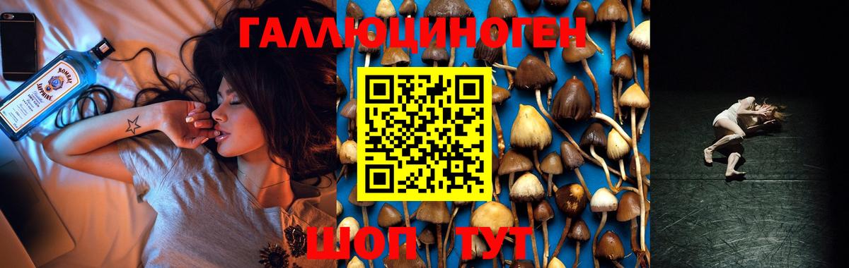 Галлюциногенные грибы мухоморы Чернушка